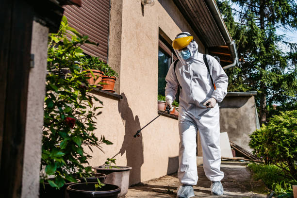 Best Termite Control Services  in Oli, PA