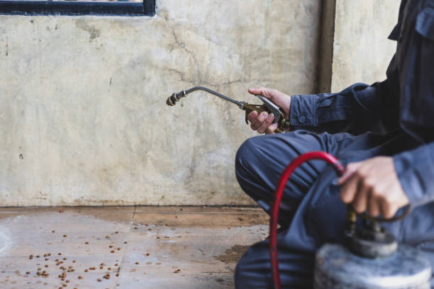Best Commercial Pest Control Services  in Oli, PA